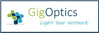 gigoptics.logo2.jpg.png